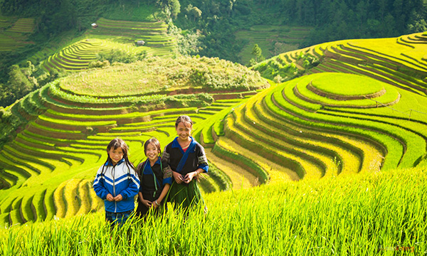 Mu Cang Chai Travel Guide and Information
